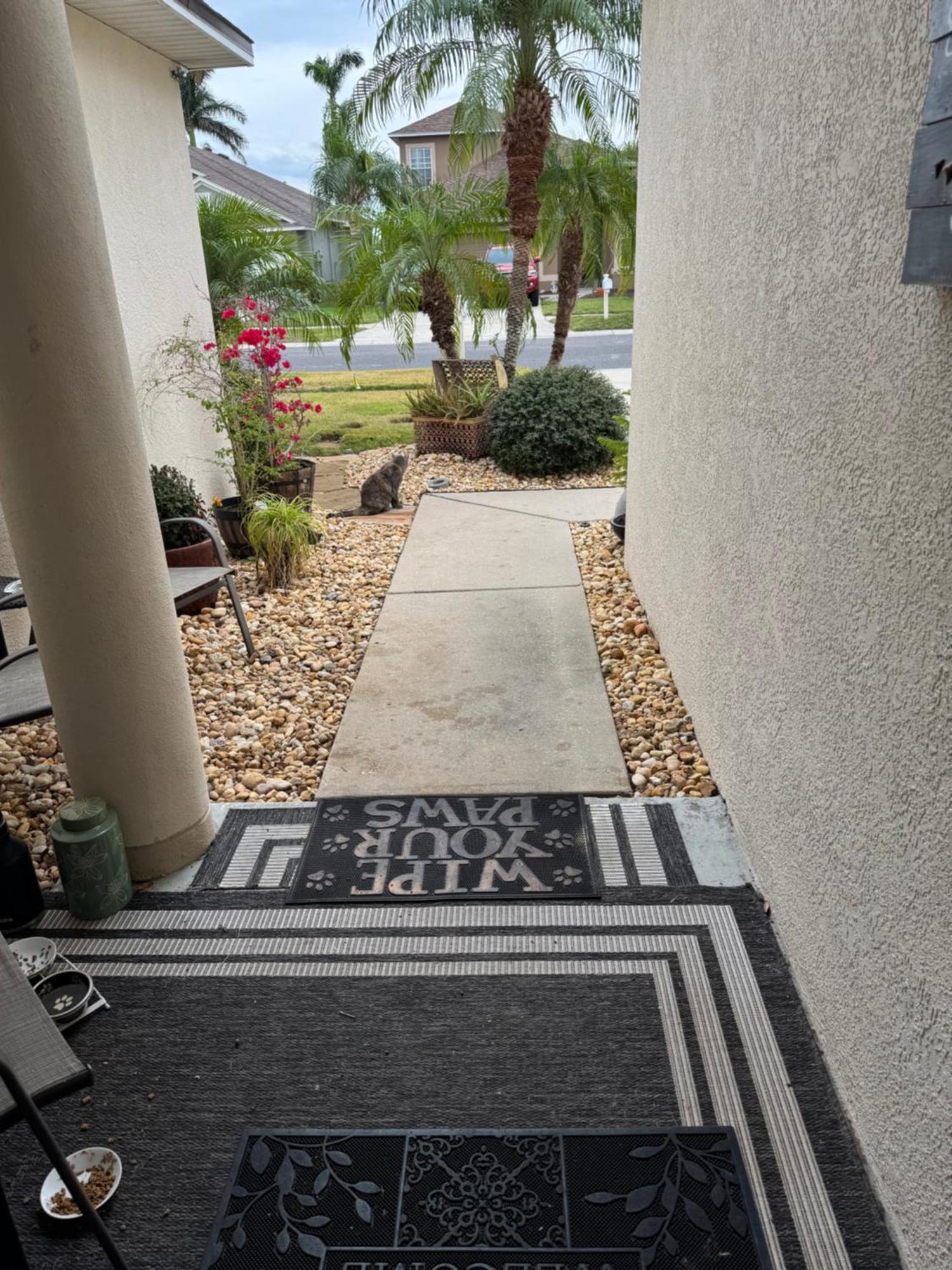 Ruskin Fl Private 2 Bdrm 1 Bath Suite Common Areas Shared With Host And Cat Εξωτερικό φωτογραφία