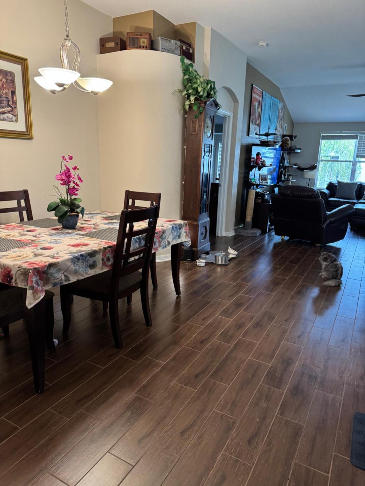 Ruskin Fl Private 2 Bdrm 1 Bath Suite Common Areas Shared With Host And Cat Εξωτερικό φωτογραφία